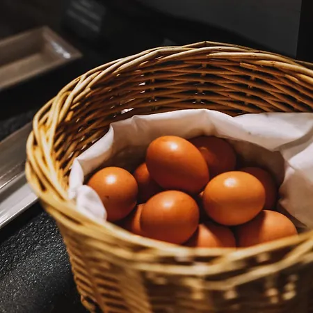 Slunecnice & Panorama Restaurace Farma Pensionat Špindlerŭv Mlýn
