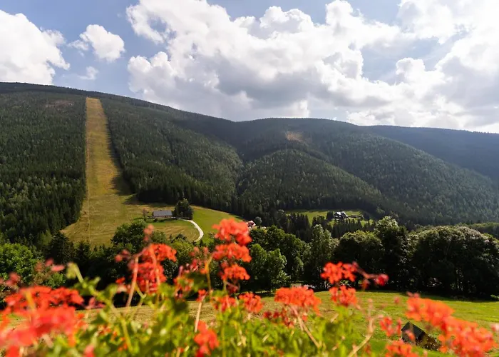 Гостьовий будинок Slunecnice & Panorama Restaurant Farma 3*